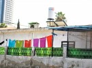 The colours of life
