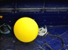Baloon in the pool