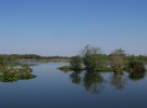 Peaceful Day
