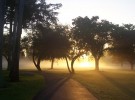 Good Morning World