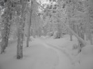 Winter hiking trail