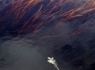 Tidal Current, Haines Alaska