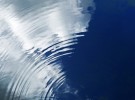 A Drop in the Sea