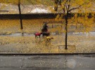 fall on riverside drive
