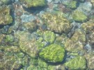 Rippled
