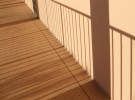 Sunshine Lines