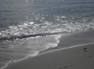 Sea Sparkle