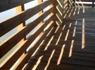 Afternoon Shadows