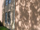 Tropical Shadows