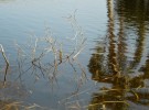 Deeper Waters