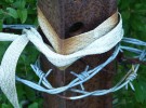 Barbed Wire and Ribbon