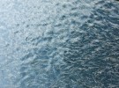 Damariscotta