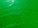 dotted green tablecloth