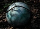 sphere in the wood
