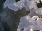 Iceform, Haines Alaska