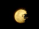 full moon - lua cheia