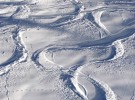 traces in snow 1