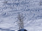 traces in snow 2