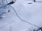traces in snow 3