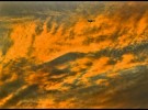 plane in sunset