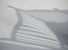 Rail shadow
