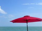Sanibel Flats