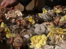 Spring Mushrooms, Farmer's Market