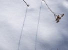 Spring Shadows, Haines Alaska