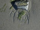 Sand Pattern, Chilkat Inlet, AK