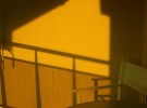 Under the falling sun