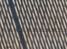 afternoon shadow