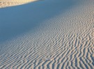 rippling dune