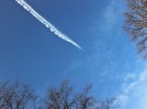 jet trail and trees